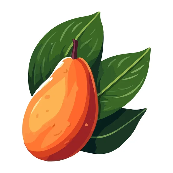 Fruits Juteux Mangue Saine Icône Alimentation Isolé — Image vectorielle