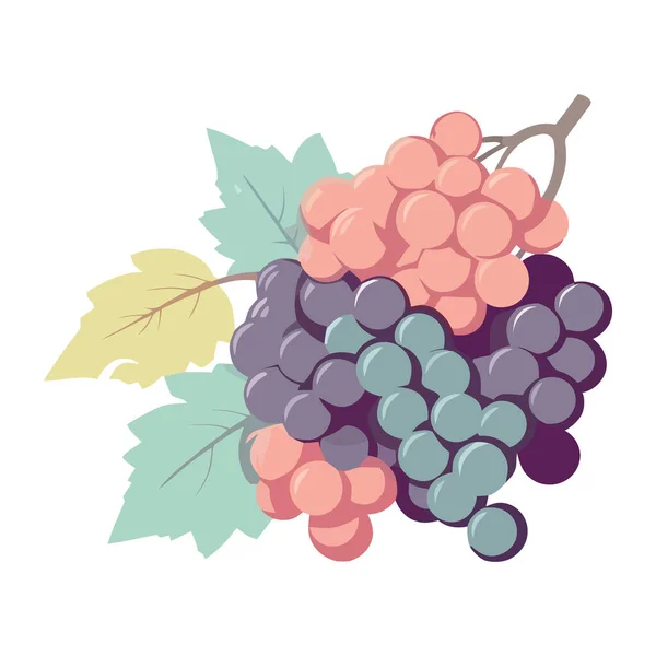 Ripe Grape Bunches Leafy Branch Icon Isolated — Stock Vector
