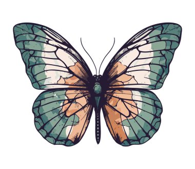 Parlak çoklu renkli vektör desenli kelebek izole edildi