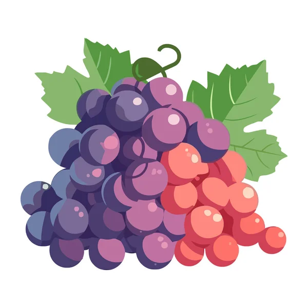 Grape Bunches Green Leaf Backdrop Icon Isolated — Stock Vector