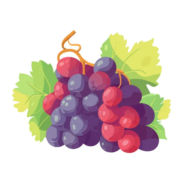 Dojrzałe Winogrona Ikona Świeżych Owoców Izolowane — Wektor stockowy