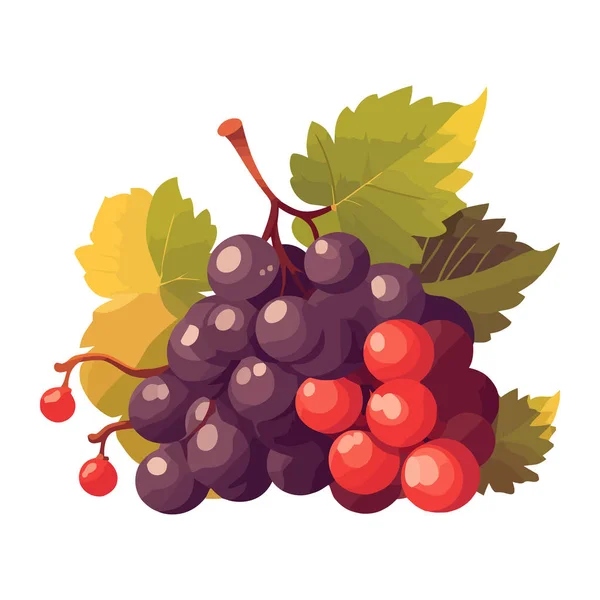 stock vector Fresh grape bunch on leaves icon isolated