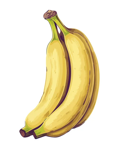 Frukt Banan Ett Hälsosamt Mellanmål Ikon Isolerad — Stock vektor