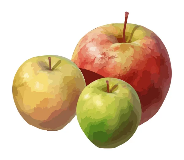 Fresh Organic Apples Ripe Juicy Snack Icon Isolated — Stock Vector