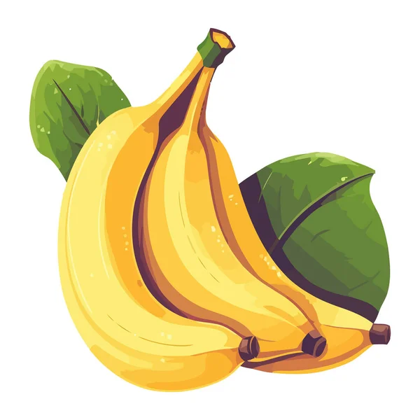 Banano Maduro Fresco Orgánico Snack Saludable Icono Aislado — Vector de stock