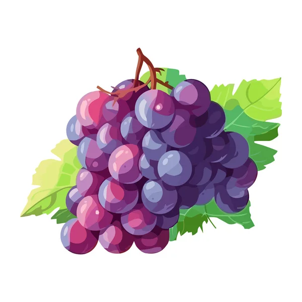 Ripe Grape Bunches Leaf Background Icon Isolated — Stock Vector