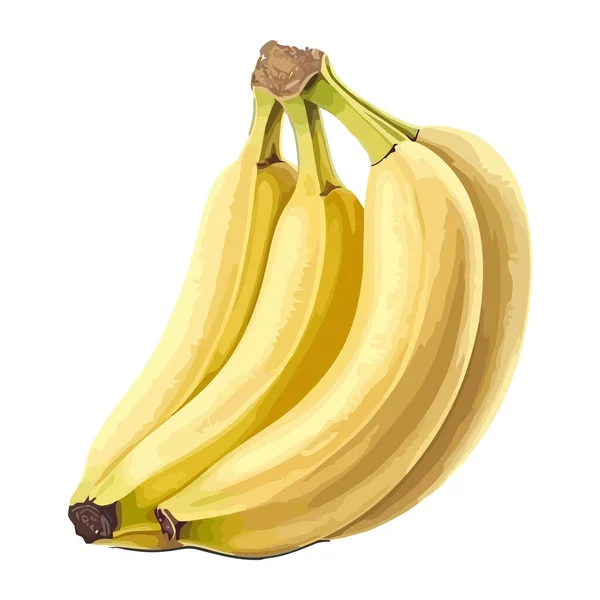 Banana Tropical Símbolo Ícone Alimentação Saudável Isolado — Vetor de Stock