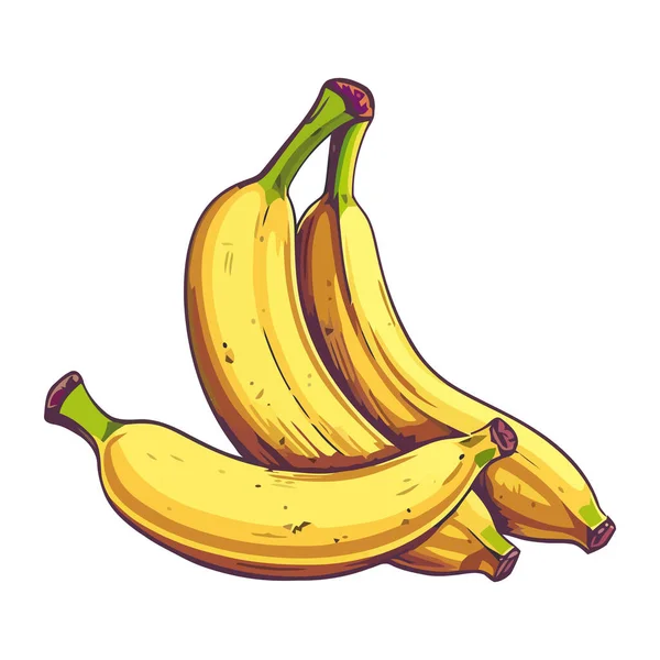 Banana Amarela Madura Ícone Lanche Orgânico Doce Isolado — Vetor de Stock