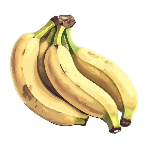 Banana Orgânica Ícone Lanche Doce Saudável Isolado — Vetor de Stock