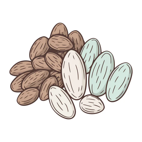 Makanan Ringan Yang Sehat Buah Segar Dan Ikon Almond Terisolasi - Stok Vektor