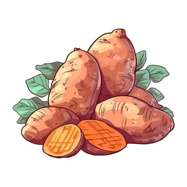 Patatas Ecológicas Frescas Cosechadas Para Comer Icono Aislado — Vector de stock