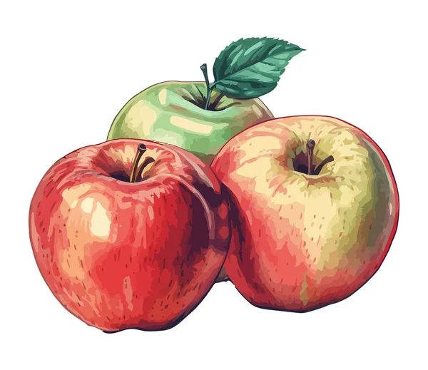 Свіже Органічне Яблуко Значок Закуски Здорового Гурмана Ізольовано — стоковий вектор