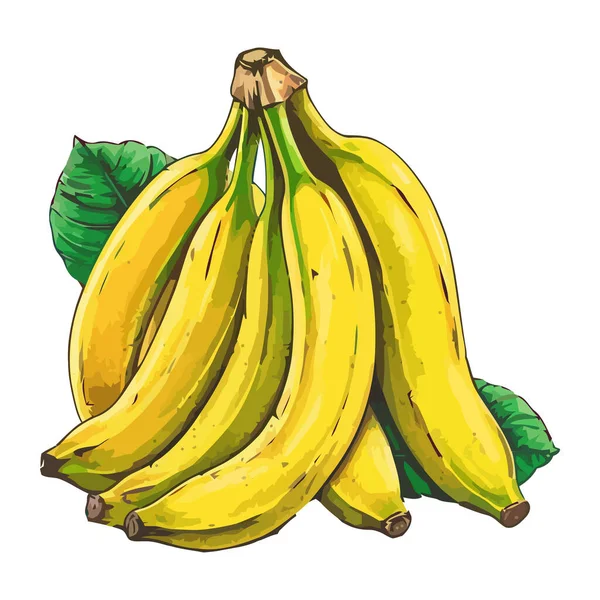Dojrzałe Banany Świeże Organiczne Ikony Izolowane — Wektor stockowy