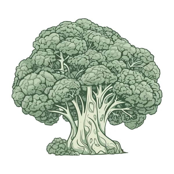 Izolowana Organiczna Ikona Świeżych Brokułów Warzywnych — Wektor stockowy