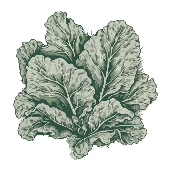 Légumes Bio Frais Pour Une Alimentation Saine Icône Isolé — Image vectorielle