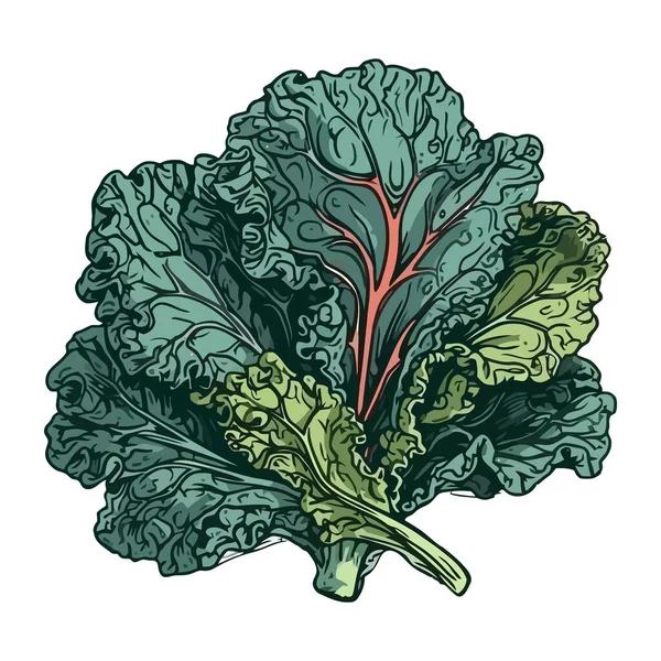 鲜叶蔬菜 素食餐 素食生活图标隔离 — 图库矢量图片