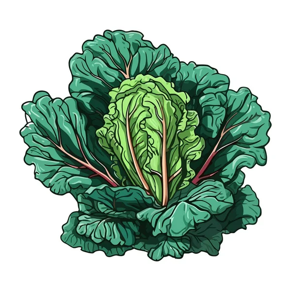 Verse Biologische Salade Een Gezond Vegetarisch Maaltijdpictogram Geïsoleerd — Stockvector