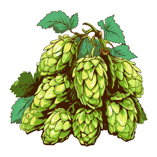 Fresh hop cones for organic beer icon isolated