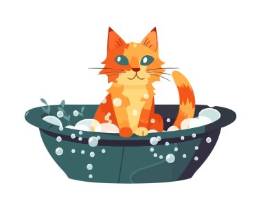 Kovadaki şirin kedi yavrusu sabun köpüğü ikonu izole edilmiş.