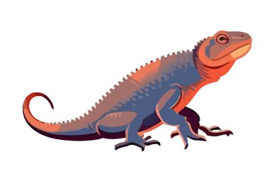 Çok renkli kuyruğu olan sevimli kertenkele ikonu izole eder