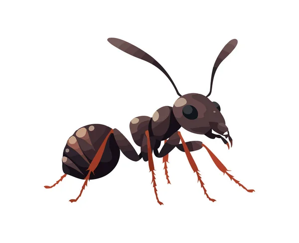 Kleine Cartoon Mier Insect Witte Achtergrond Pictogram Geïsoleerd — Stockvector