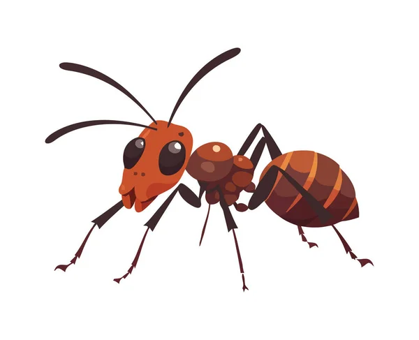 Insekt Natur Ameise Tier Symbol Isoliert — Stockvektor