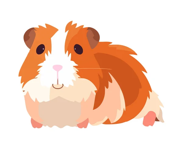 Yumuşak Sevimli Hamster Oturma Ikonu Izole — Stok Vektör