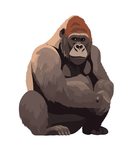 Söt Gorilla Primat Vit Bakgrund Ikon Isolerad — Stock vektor