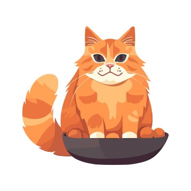 Beyaz arkaplan simgesinde oturan sevimli kedi yavrusu izole edilmiş