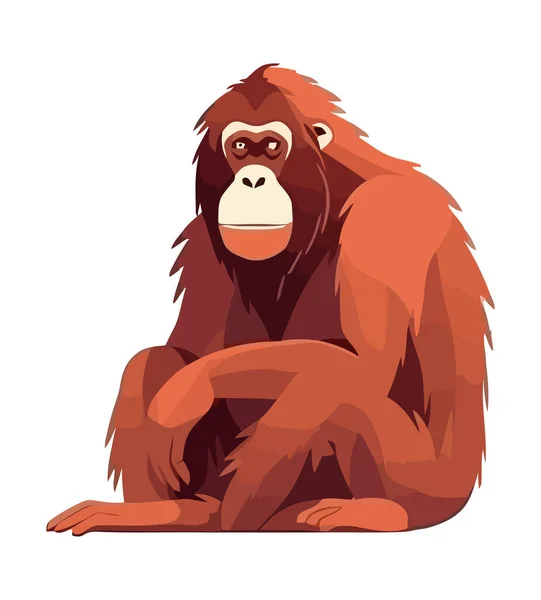 Beyaz Arkaplan Simgesi Üzerindeki Orangutan Izole Edildi — Stok Vektör