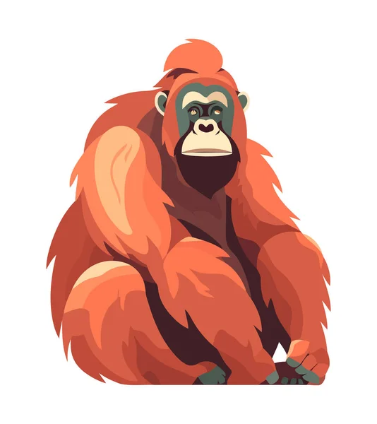 Orangutan Primát Maskot Sedí Ikona Izolované — Stockový vektor