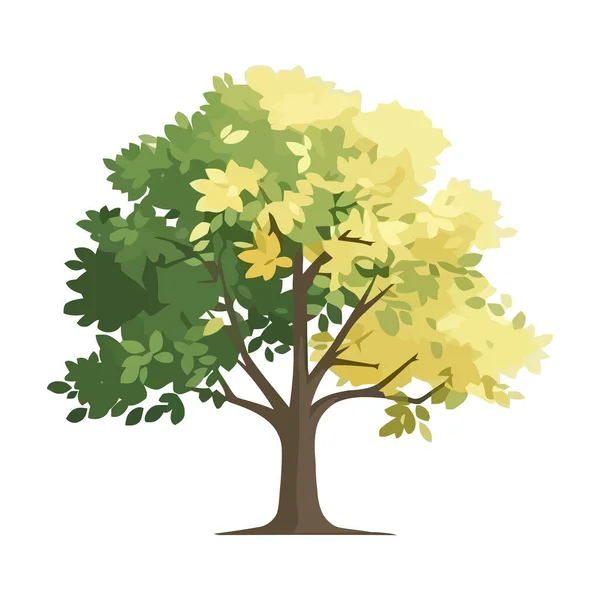 Πράσινο Φύλλα Δέντρο Φυσικό Εικονίδιο Απομονωμένο — Διανυσματικό Αρχείο
