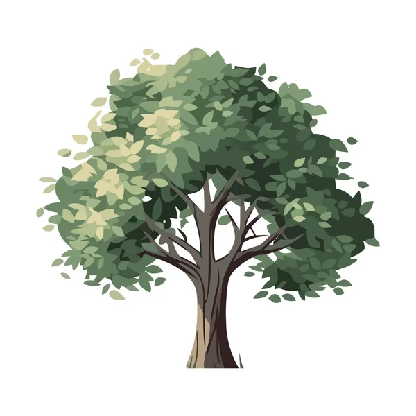 Ağaç Dalı Üzerindeki Yeşil Yapraklar Doğa Simgesi Izole — Stok Vektör