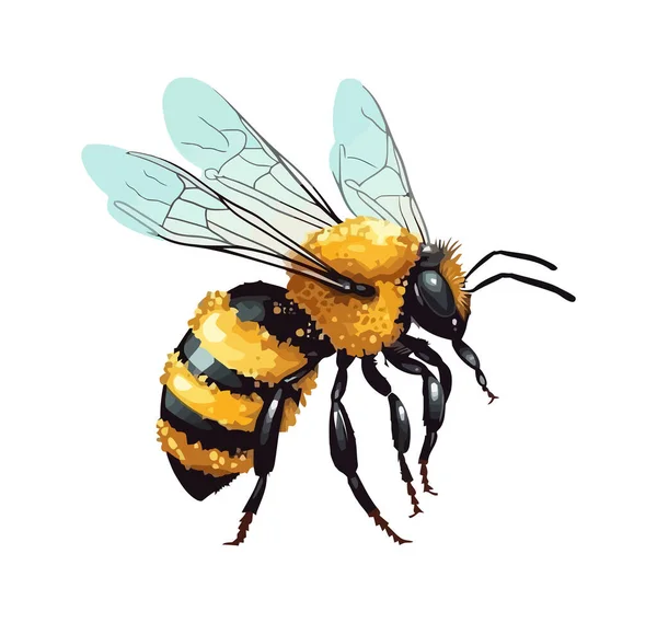 Απασχολημένη Εικόνα Εντόμων Μελισσών Απομονωμένη — Διανυσματικό Αρχείο