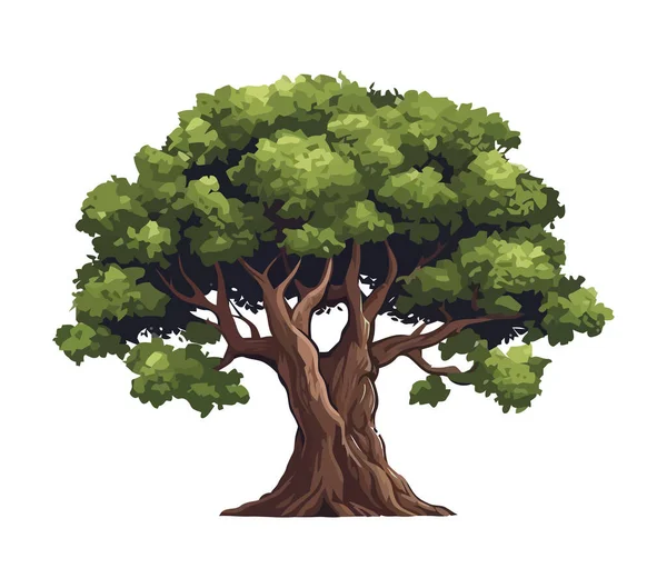 Grüne Blätter Wachsen Isoliert Baum — Stockvektor