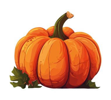 Taze olgun balkabağı beyaz arkaplan simgesi izole