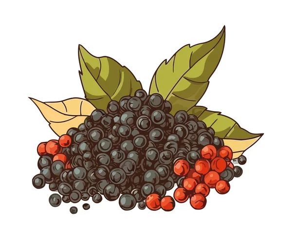 Alimentos Frescos Bluberries Maduras Ícone Refresco Isolado — Vetor de Stock