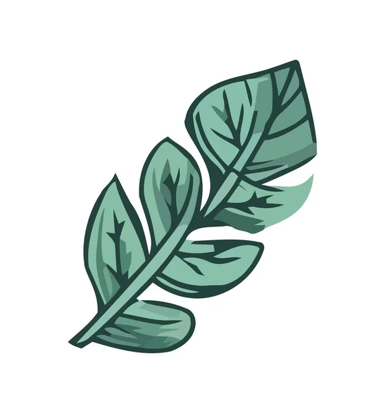 Φρέσκα Πράσινα Φύλλα Συμβολίζουν Την Εικόνα Ανάπτυξης Της Φύσης Απομονωμένη — Διανυσματικό Αρχείο