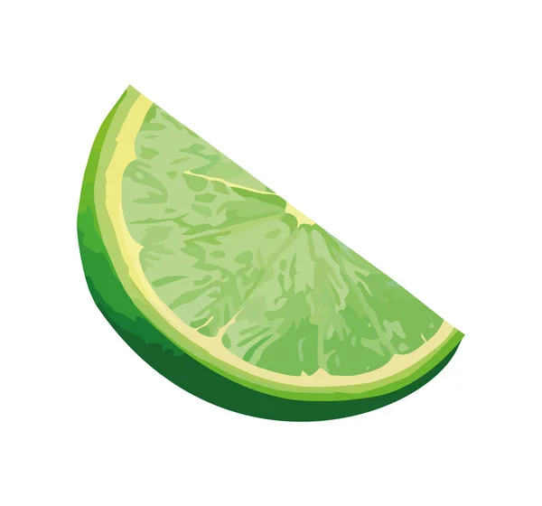 Juicy Lime Slice Refreshing Icon Isolated — Stock Vector