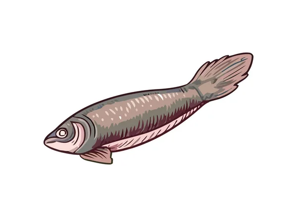 Cute Ryb Życia Morskiego Ikona Izolowane — Wektor stockowy