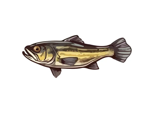 Čerstvé Ryby Chycené Volné Přírodě Gurmánské Jídlo Ikona Izolované — Stockový vektor