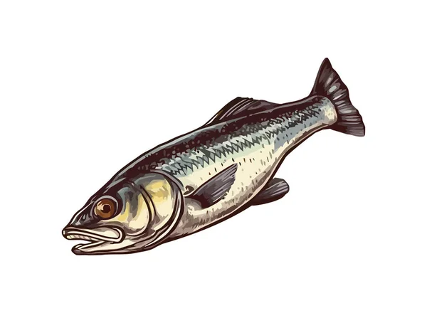 Hand Drawn Vector Sketch Fresh Seafood — Stock Vector