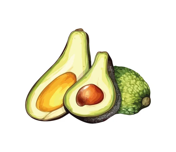 Ripe Avocado Slice Fresh Healthy Snack Icon Isolated — Stock Vector