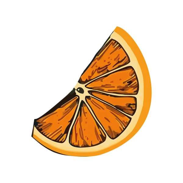 Tranche Agrumes Juteuse Orange Icône Collation Mûre Fraîche Isolée — Image vectorielle