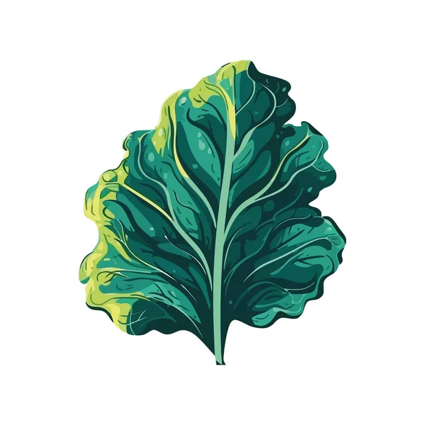 有機栽培自然レタスの葉のアイコンを単離 — ストックベクタ