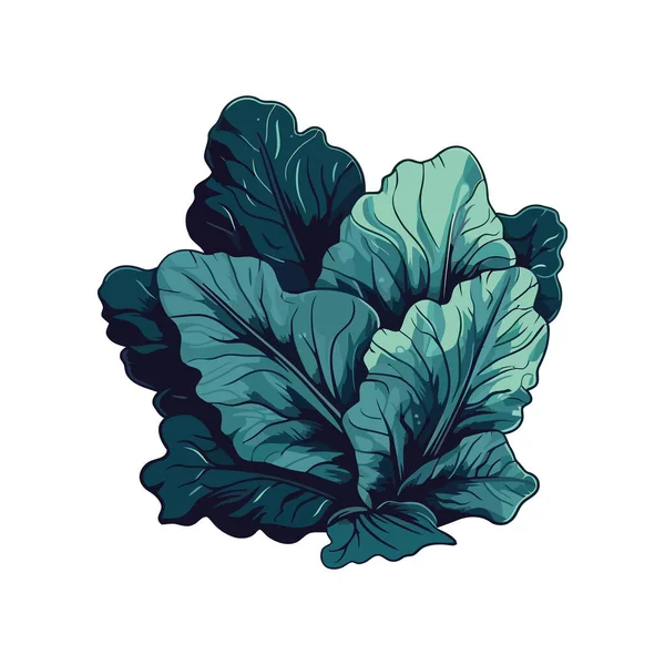 Φρέσκα Φύλλα Σαλάτας Απομονωμένα — Διανυσματικό Αρχείο