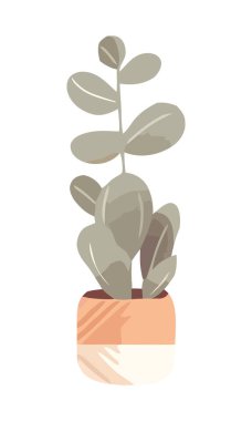 Saksı süsleme ikonunda organik büyüme çiçekleri izole edildi