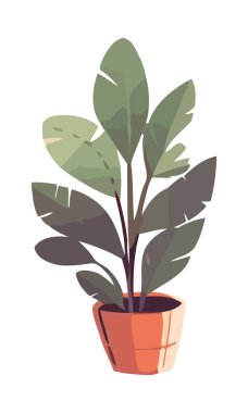 Süslü renk simgesine sahip tek bir bitki izole edildi