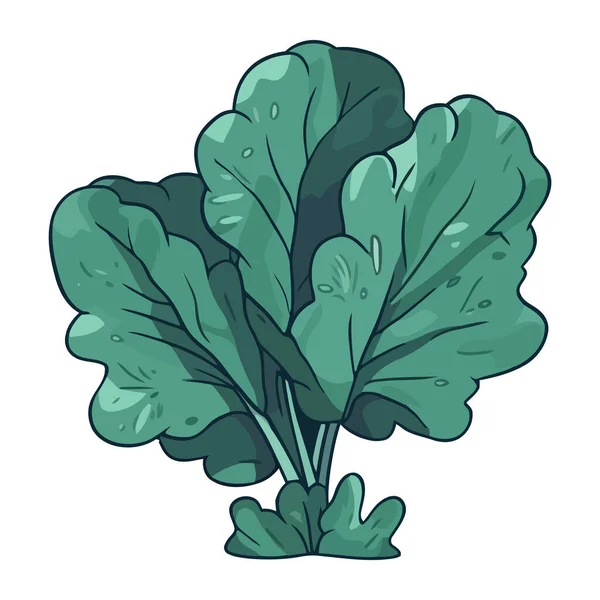 Świeże Zielone Ikony Wzrostu Szpinaku Izolowane — Wektor stockowy