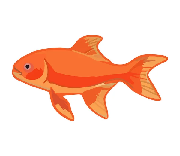 Cute Goldfish Swimming Tropical Icon Isolated — Stock Vector